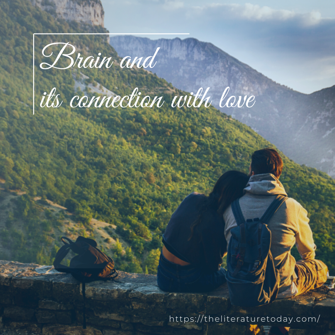 Brain and its connection with love
