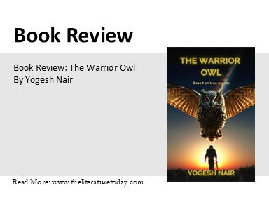 THE WARRIOR OWL BY YOGESH NAIR